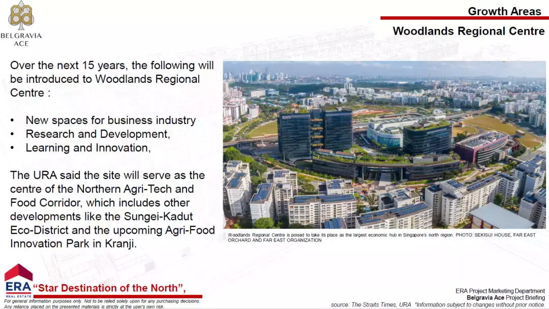 Belgravia Ace 王牌洋房別墅[優質罕見 永久地契 享公寓設施】