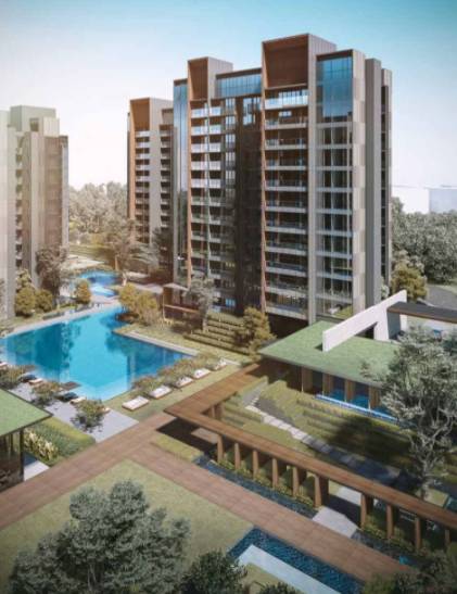 饭都不做的新加坡人靠什么“续命”?揭开真相后,羡慕了