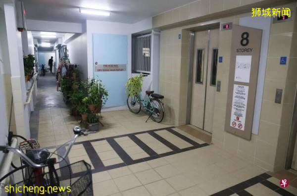 组屋走廊摆31盆植物 居民申诉挡道