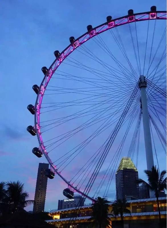 新加坡的夜景也太美了吧