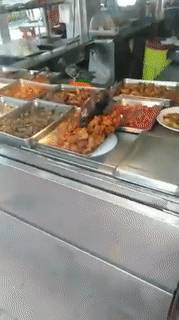 新加坡鸟儿狂吃霸王餐