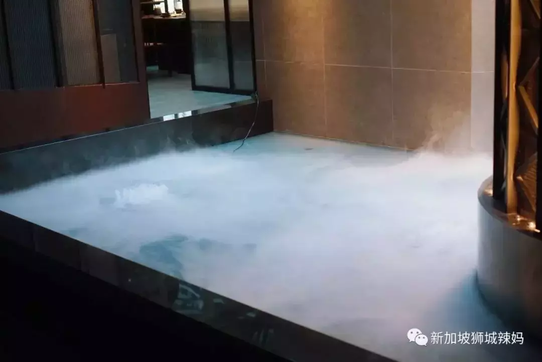 排队5小时!网红凑凑火锅来新加坡了!锅底无限续、奶茶免费喝!菜品大曝光