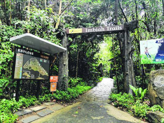 新開辟徒步路線！聖淘沙後花園“Imbiah Trail”沿路亮點🍃 回歸自然，尋覓古迹