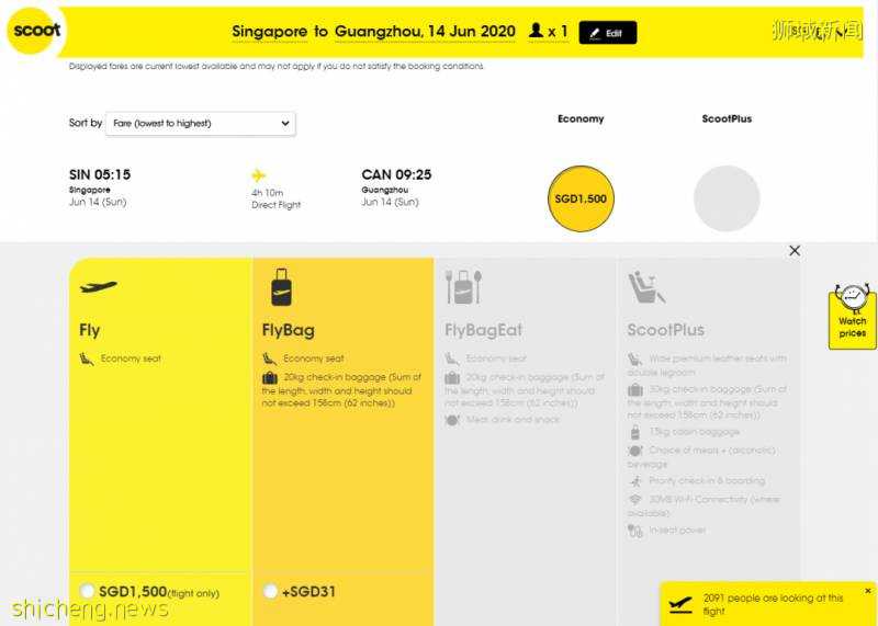 3500余人抢1张新加坡回国的机票，今天你抢到了吗