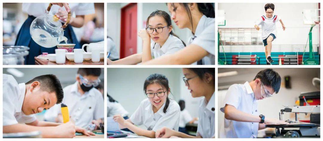 新加坡初级学院最新排名