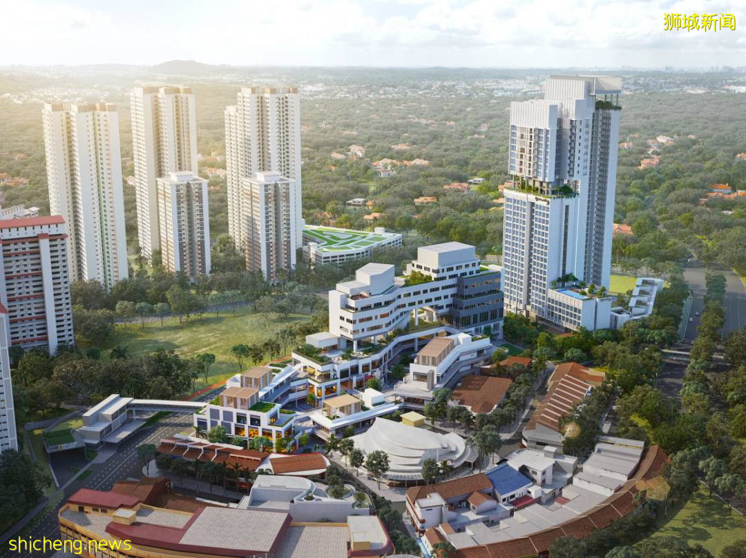 手機“一掃”入境新加坡,一起來看看有4500種花卉的全新熱帶花園吧