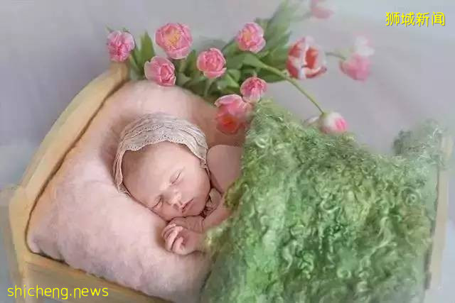 最新全國人口普查公布，新加坡人口增速有史以來最慢