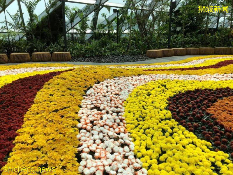 Jewel限时优惠,凭当日消费小票,可兑换双人Canopy Park免费门票!【有效期至9月30日】