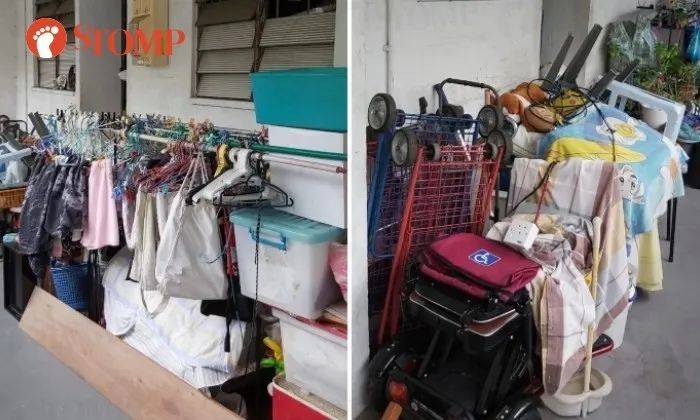 快過年了，竟有人在新加坡組屋走廊開“養雞場”，30只好熱鬧