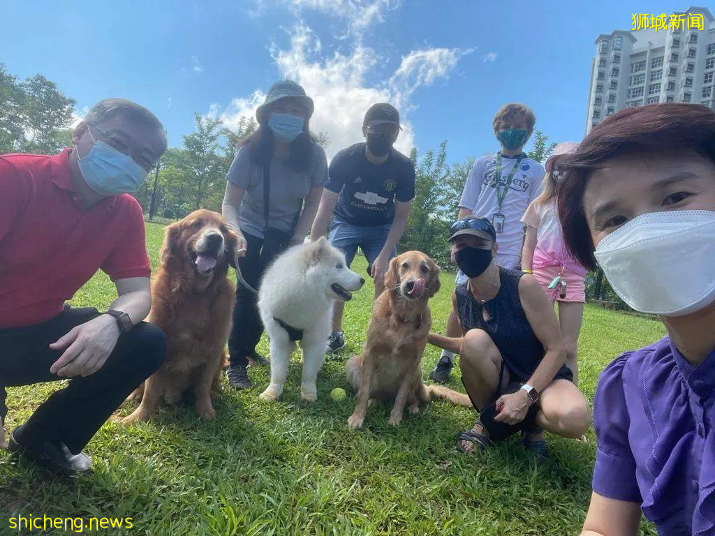 新加坡武吉甘柏公園開幕，蝴蝶園、遛狗場、山丘步道，登高遠眺好去處