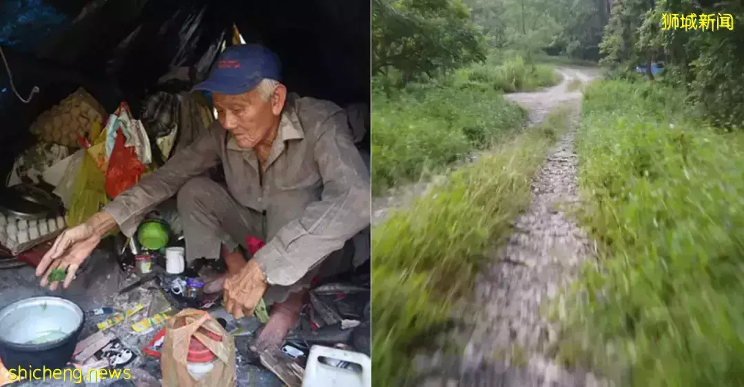 这个老人独居新加坡森林33年！卖菜为生、每月寄给子女500新