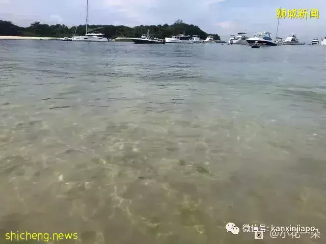 除了乌敏岛,新加坡还有这两个岛超适合出游