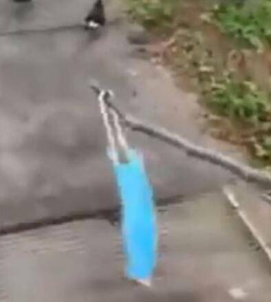 新加坡户外有多少丢弃的废旧口罩?“跟着我”走红小坡