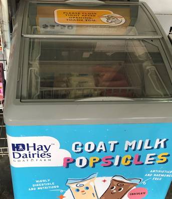 擠羊奶、餵山羊、看打架！我和孩子在新加坡找到了800多只山羊