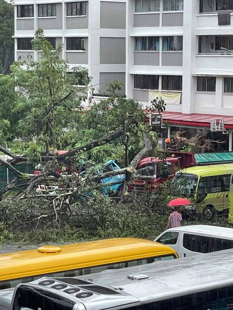 昨天!新加坡遭40年来最强暴雨袭击,全岛多处被洪水淹没,驾车犹如水中行船