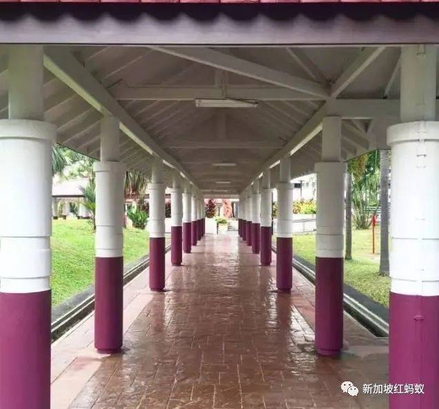 狮城最贴心的一道风景:无处不在的有盖走廊