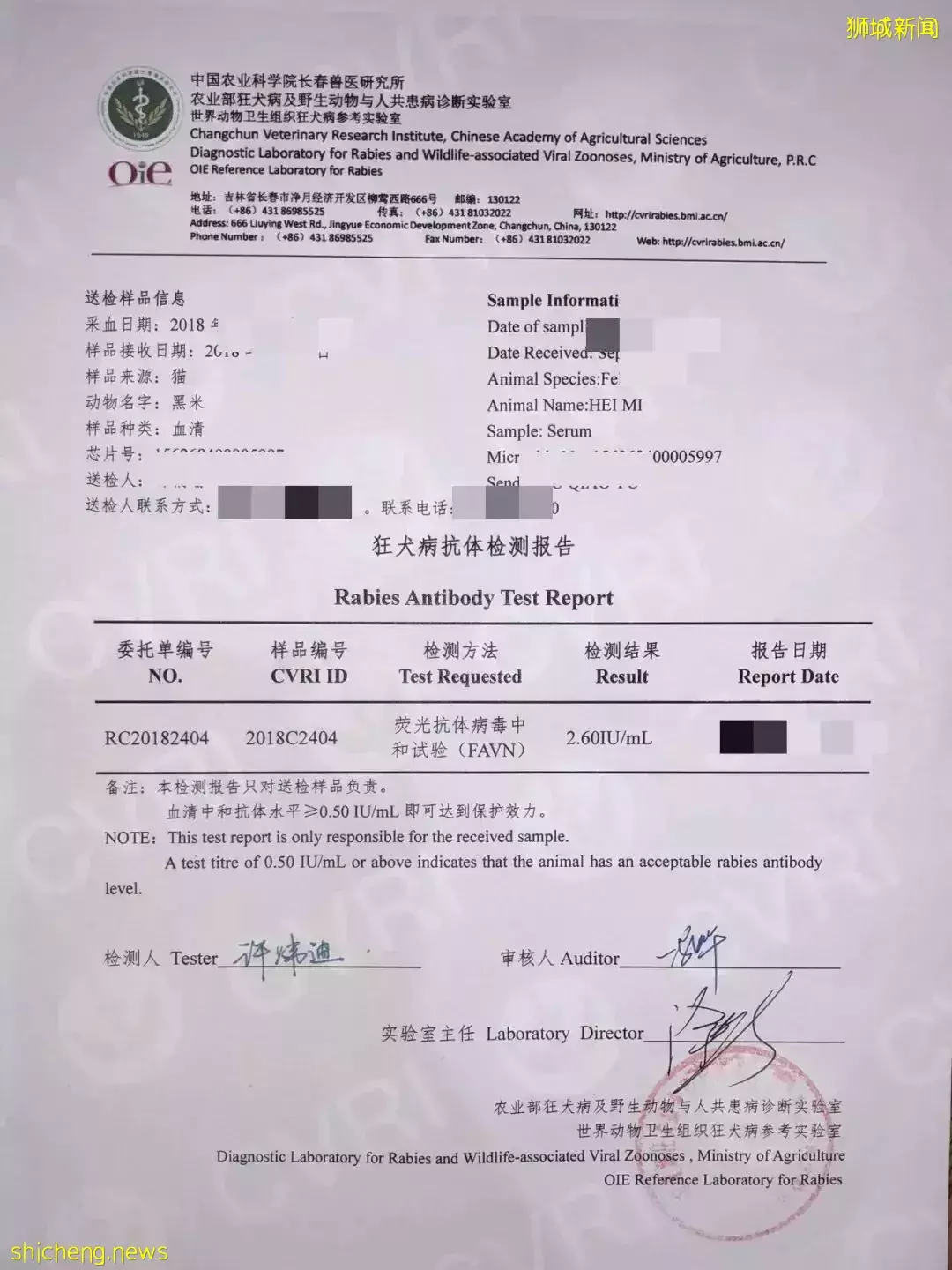 耗时6个月,隔离30天,我的宝贝终于来新加坡跟我团聚了