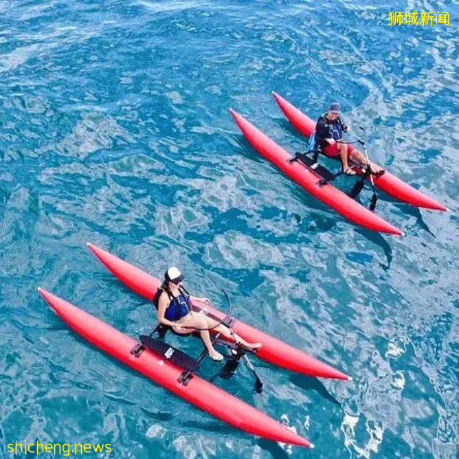 首家!新加坡也有水上自行车了,仅$30/时