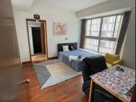 新加坡中部房源性价比之王