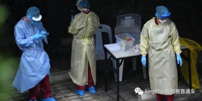 新加坡核酸檢測降價有望？坡島人民喜大普奔