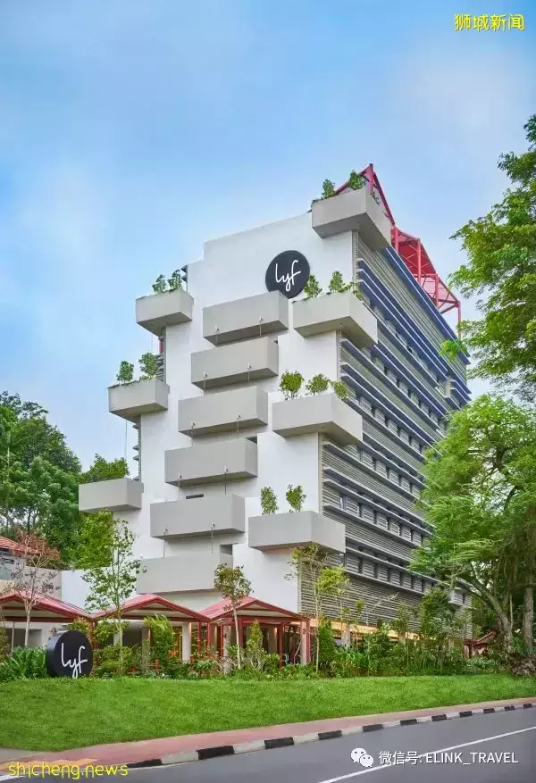 新加坡 lyf 纬壹科技城共享公寓