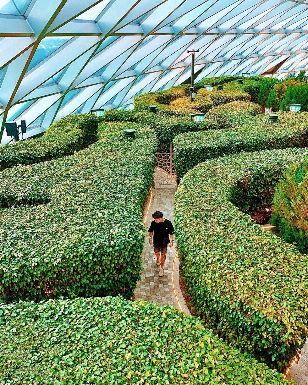 本地版愛麗絲夢境🧚🏻‍♀️Hedge Maze樹籬迷宮冒險玩法大公開⚡暗藏驚喜，人過花開🌺