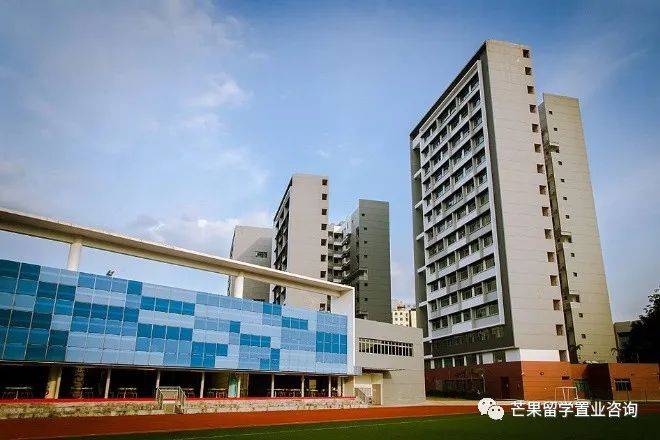 新加坡教育之政府学校《4》