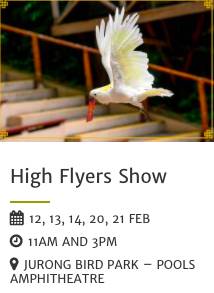 過年去哪兒玩 ? 新加坡春節精彩活動大盤點