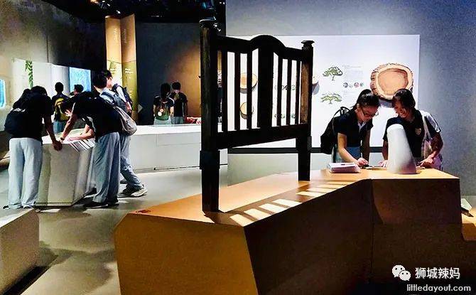 恐龍化石、抹香鯨骨架、初代巨星阿明……100W+動植物標本竟然藏在新加坡這個地方