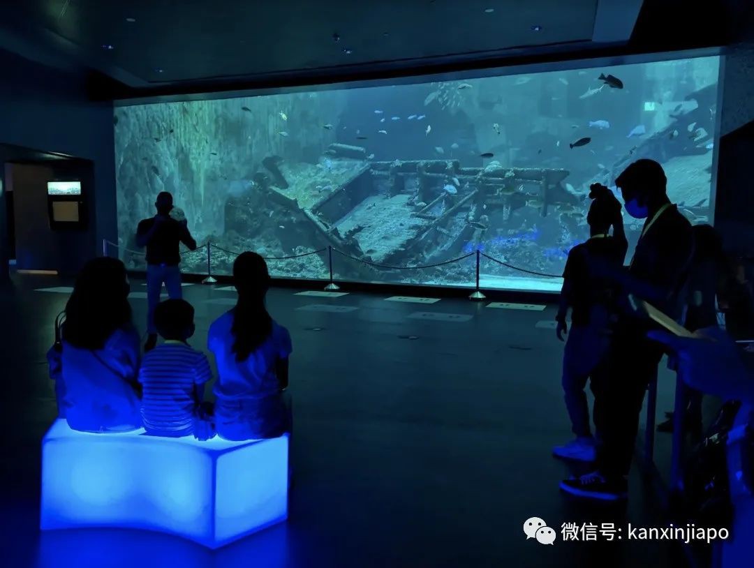 年末假期，教你如何在新加坡找“雪花”、小黄人和圣诞老公公！