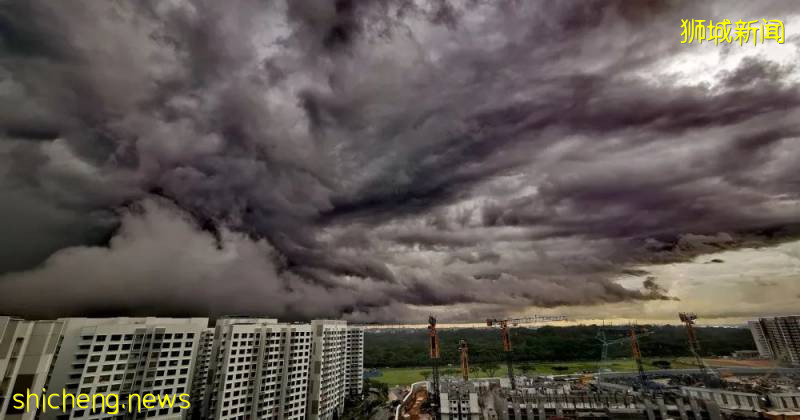 又“狂”又“野”的新加坡奇景!天氣多變,生態豐富!