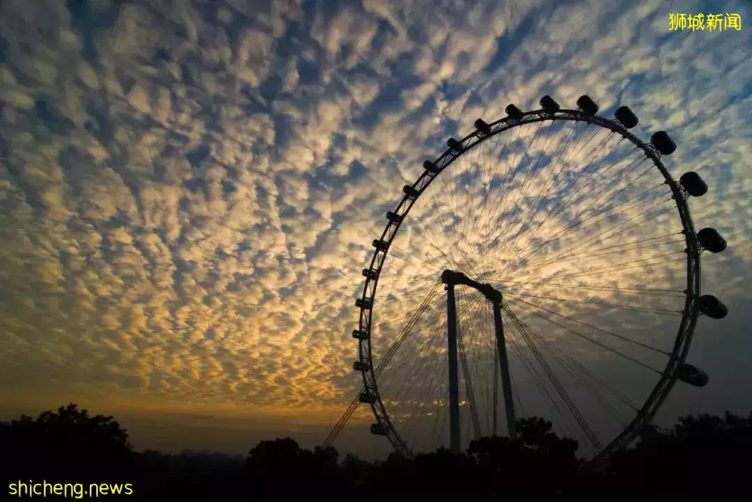 又是想去新加坡旅游的第N+1天！先收藏这份‘新加坡旅行攻略’来解馋吧