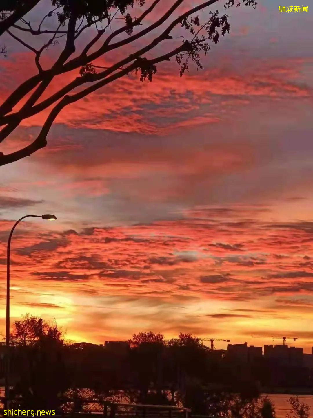 昨天，新加坡神仙晚霞刷屏朋友圈！這些地點觀賞效果炸裂