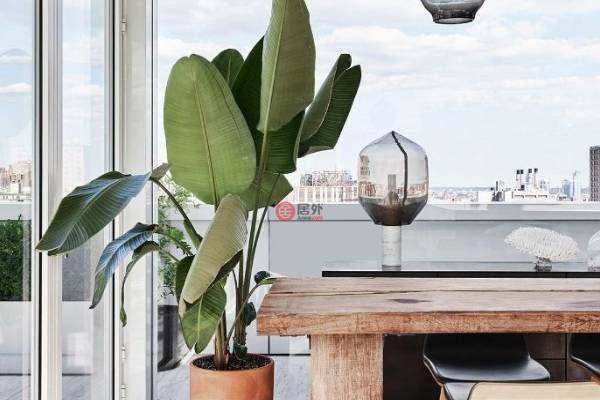 签证干货：新加坡是落地签吗