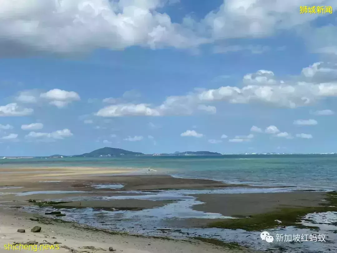 【圖文】這段18公裏沿海路線美爆了! 左看右看都不像在新加坡