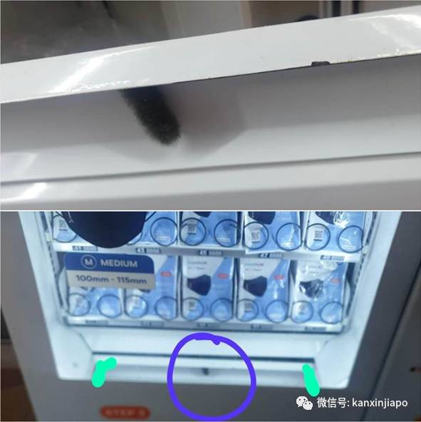 “黑猫”惊现口罩贩卖机内,无法动弹!何晶亲自出面解释