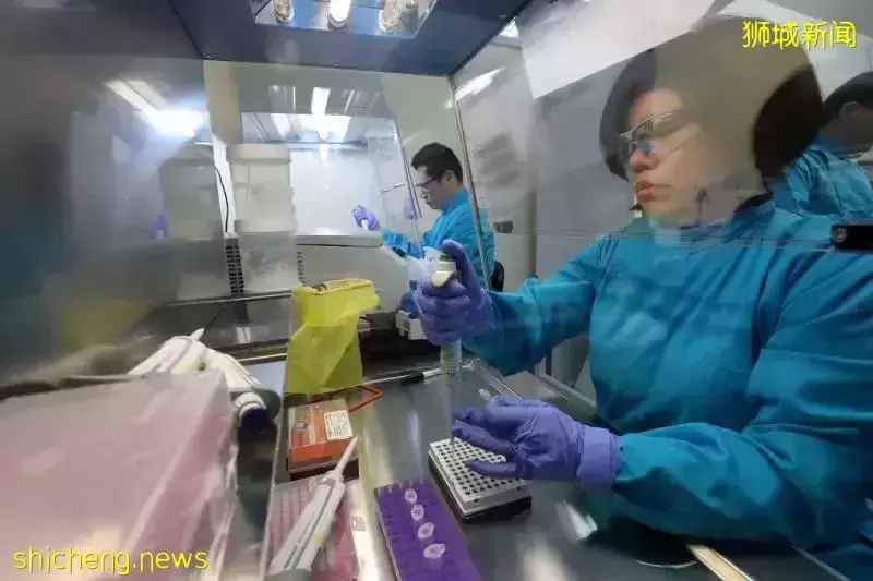新加坡开始研发抗多新冠变种全能疫苗