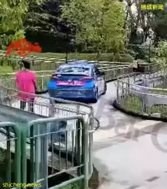 德士司機是路盲？被導航坑？新加坡德士司機開進公園連道驚呆路人