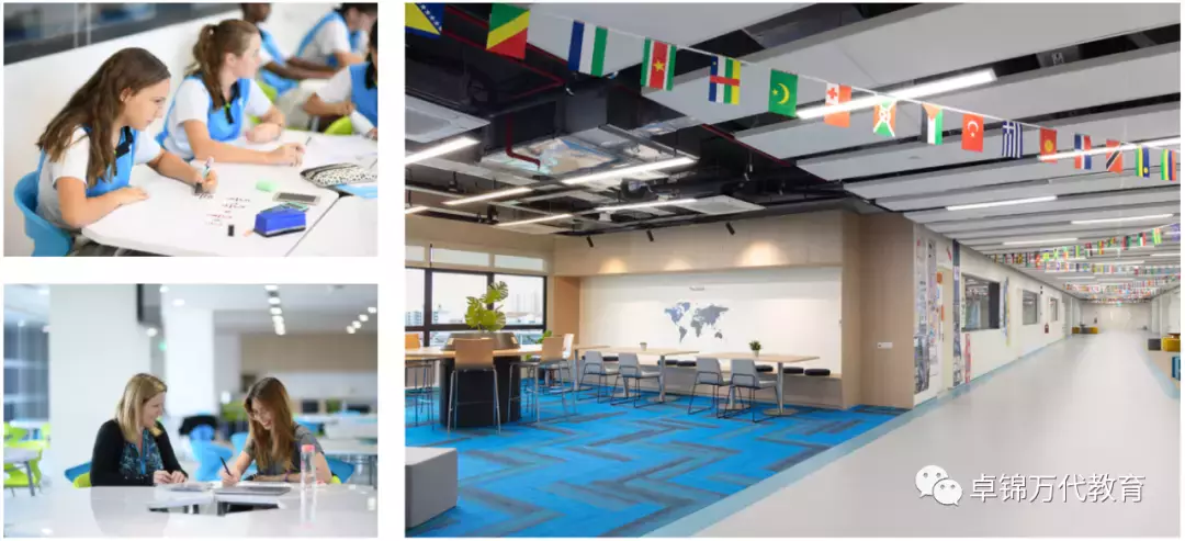 新加坡國際學校 【3】萊仕國際學校Nexus