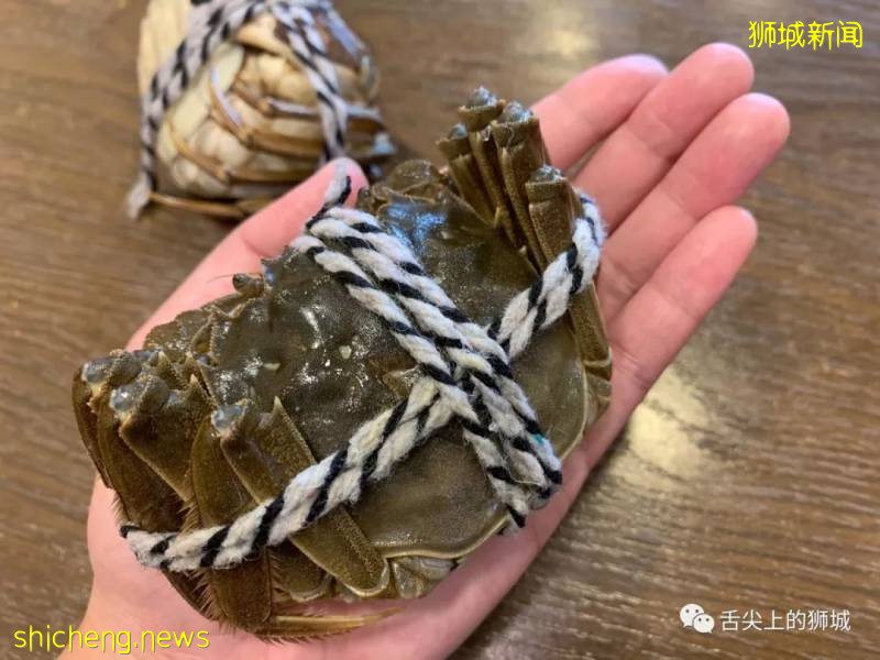 铛铛铛！萬衆期待的蟹中“小鮮肉”，舌尖六月黃大閘蟹登陸獅城啦