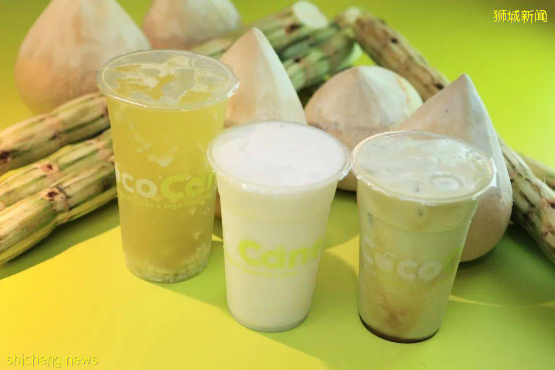 泡泡茶的劲敌，新加坡椰子沙冰来势汹汹，一夜爆红
