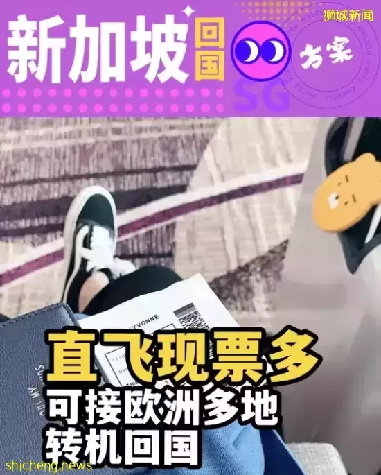 欧洲直飞中国航班频熔断 新加坡成赴华热门转机地!回国机票价格再创新高