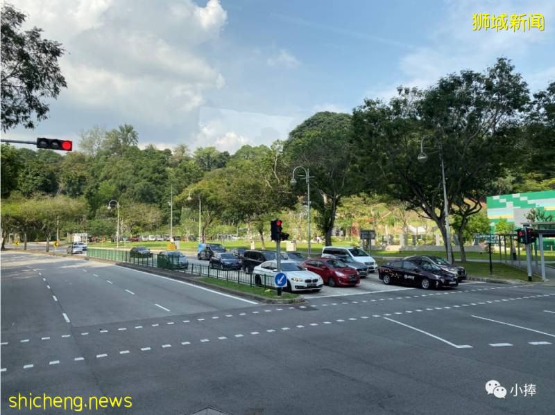 新加坡 不一樣的風情