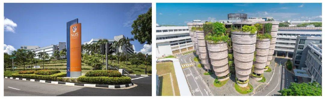 新加坡理工學院，是“大專”，太low？帶你走進真實的理工學院