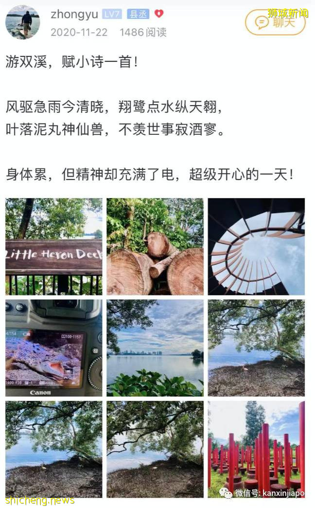 初来乍到遇上疫情,在新加坡当程序员是怎样的感觉