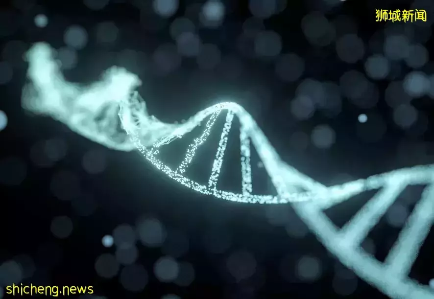 新加坡科研人員發現“返老還童藥”,青春倒流越來越近