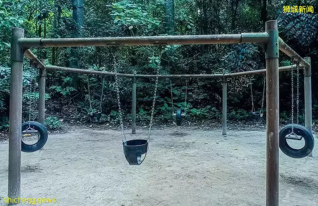 帶娃逛遍新加坡的森林和水庫，9條適合兒童徒步的路線