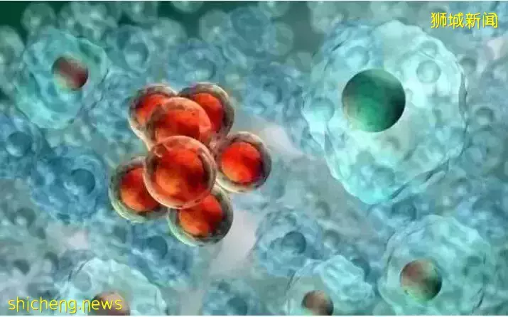 重磅！新加坡胖子們可以“躺平”減肥啦！中國科學家發現燃燒脂肪“靶點”