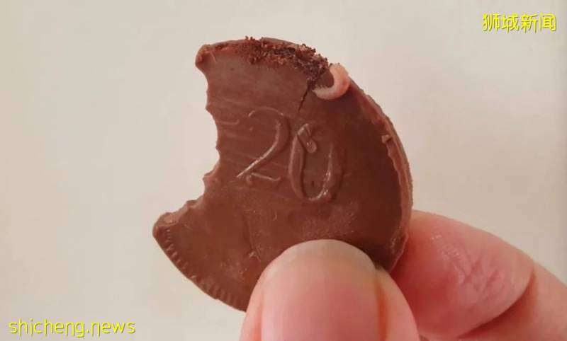 名店巧克力上吃出小虫！5岁女上网玩游戏 月花费1500新币