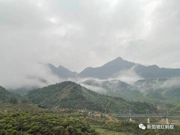 新中外长在武夷山会晤,母亲祖籍福建的维文不忘推荐大红袍